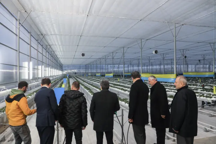Samsun'da Modern Tarım Hamlesi: Vali Tavlı Bafra Sera OSB'de Üretimi Yerinde Gördü