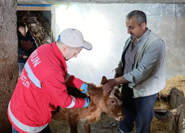 Gülören Mahallesi’nde Aşılama Mesaisi: Tarım Ekipleri Hastalıklara Karşı Sahada