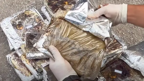 Samsun'da Tırda 132 Kilogram Toz Esrar Ele Geçirildi