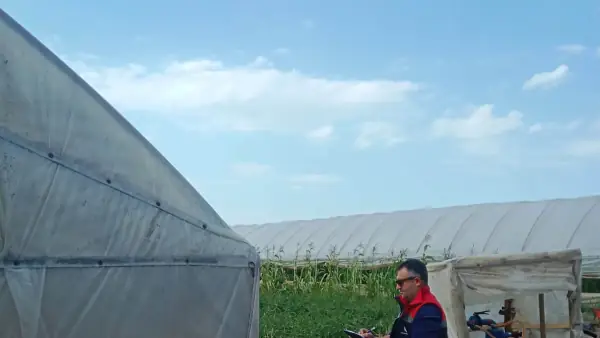 Çarşamba'da Sera ve KOBÜKS İçin Arazi Çalışması