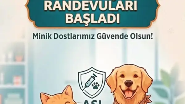 Atakum'da Evcil Hayvanlar İçin Kuduz Aşısı Randevuları Başladı