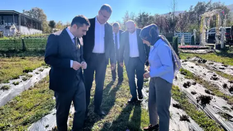 Samsun Protokolünden Kavak'taki Lavanta Bahçesine İnceleme Ziyareti