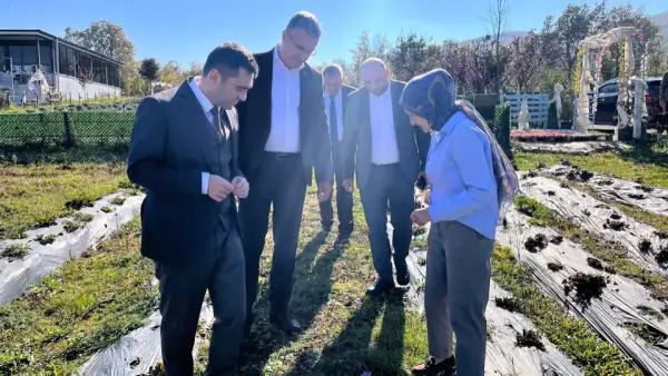 Samsun Protokolünden Kavak'taki Lavanta Bahçesine İnceleme Ziyareti