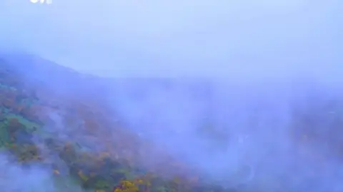 Samsun Atakum Karakavuk Gölü'nde Sonbahar Güzelliği