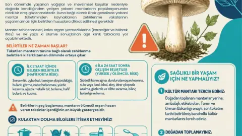 Samsun'da Yabani Mantar Zehirlenmesine Karşı Hayati Uyarı