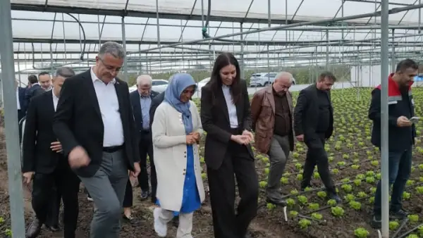 Çarşamba'da Kadın Çiftçilere Ziyaret: Seradaki Üreticilerin Talepleri Dinlendi