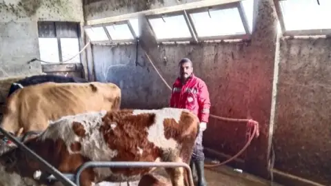 19 Mayıs'ta Hayvan Sağlığı İçin Aşı ve Dezenfeksiyon Çalışması