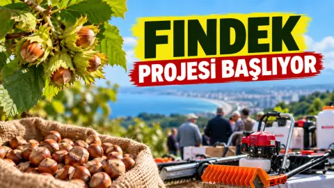 Atakum'da Fındıkta Verimi Artıracak FINDEK Projesi Başlıyor